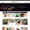 Theme wordpress flatsome phong thủy 01