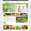 Theme wordpress tinh bột nghệ 01